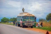 Zimbabwe busses